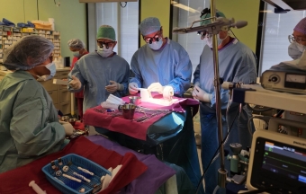 aordiklapi siirdamine